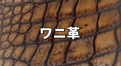 レザークラフト材料のワニ革、クロコダイルを通販と実店舗で販売
