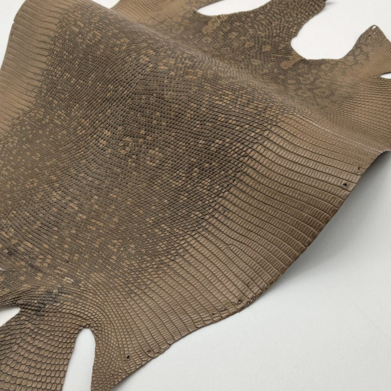 トカゲ革【最大幅26cm/サイズ保証21×21cm】ブラウン/マット/腹割/tkg775