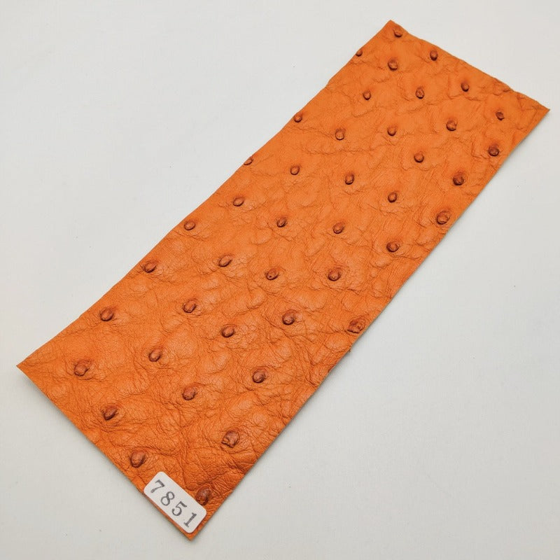 オーストリッチ革【8×21cm/1.2mm】オレンジ/特Sランク/d7851