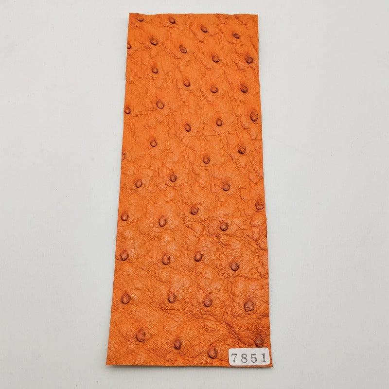 オーストリッチ革【8×21cm/1.2mm】オレンジ/特Sランク/d7851
