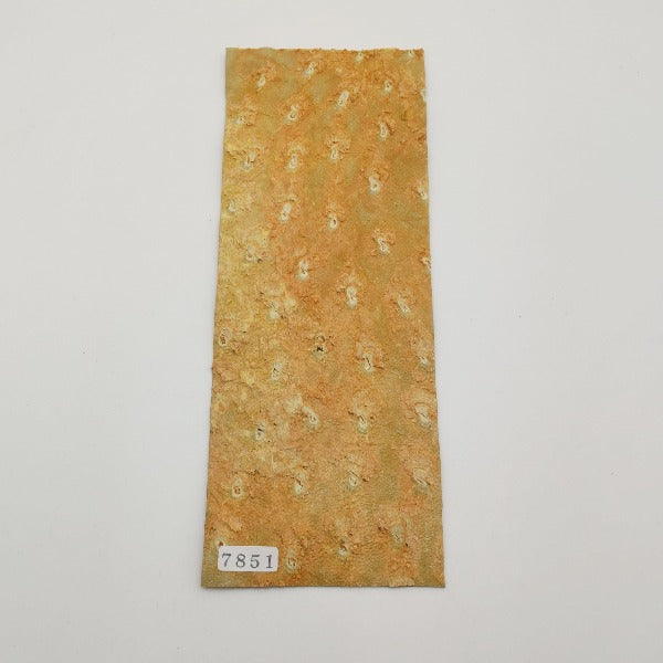オーストリッチ革【8×21cm/1.2mm】オレンジ/特Sランク/d7851