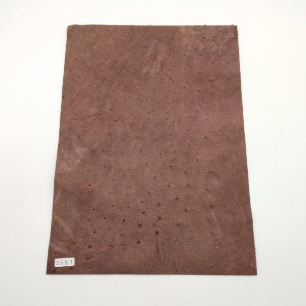 オーストリッチ革【A4/1.2mm】ブラウン/Bランク/d2561