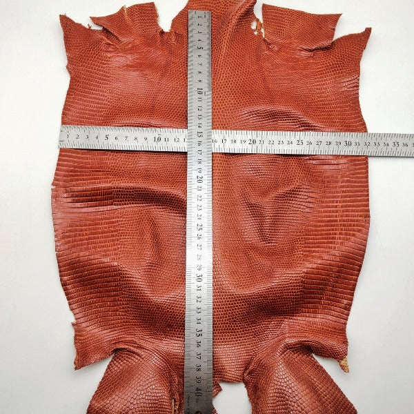 トカゲ革【最大幅32cm】ダークオレンジ/ツヤ強/腹割/8130
