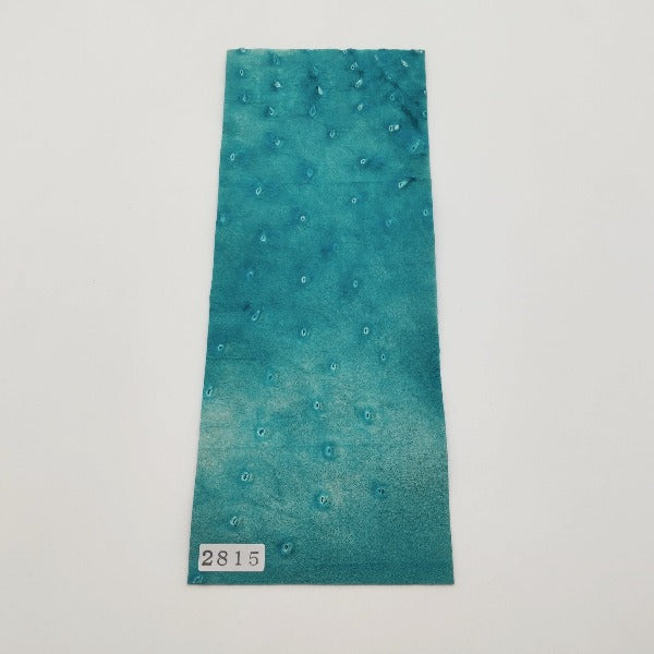 オーストリッチ革【8×21cm/1.0mm】ターコイズブルー/特Aランク/d2815