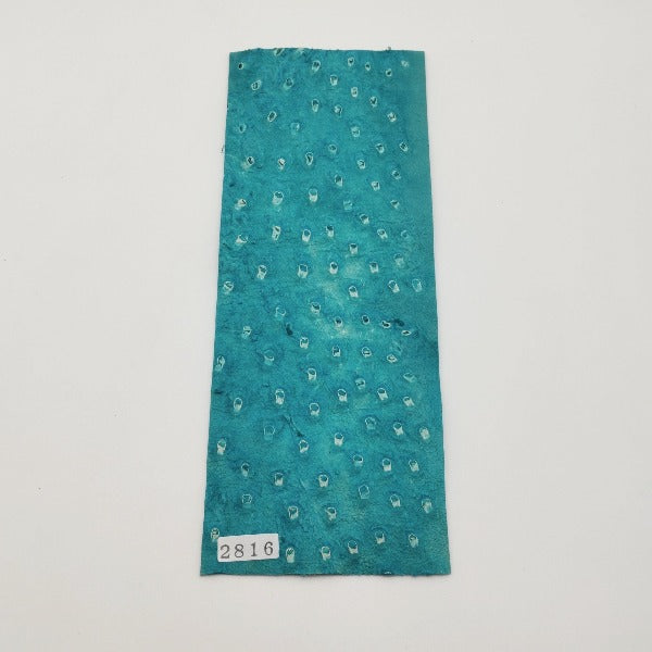 オーストリッチ革【8×21cm/1.0mm】ターコイズブルー/特Sランク/d2816