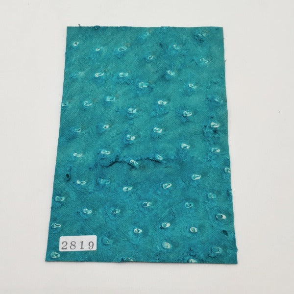 オーストリッチ革【ハガキ/1.0mm】ターコイズブルー/特Sランク/d2819