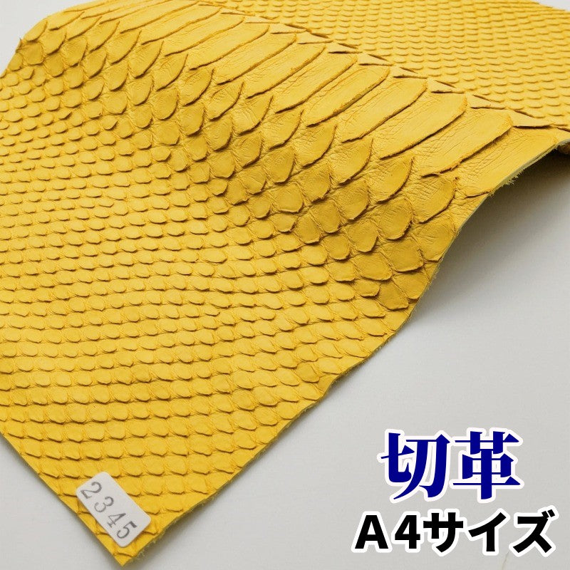 蛇 革素材