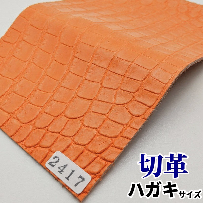 鰐 カラフル