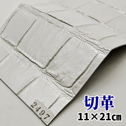 鰐 革素材