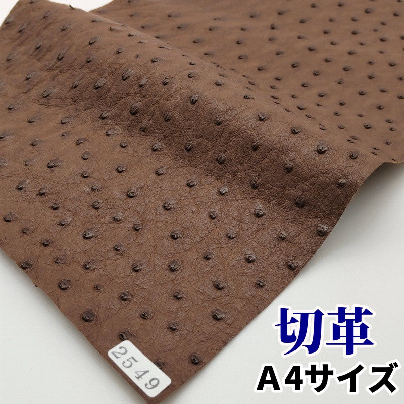オーストリッチ革【A4/0.8mm】ブラウン/特Sランク/d2549