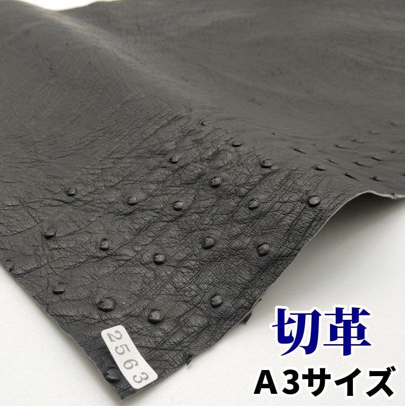 駝鳥 革素材