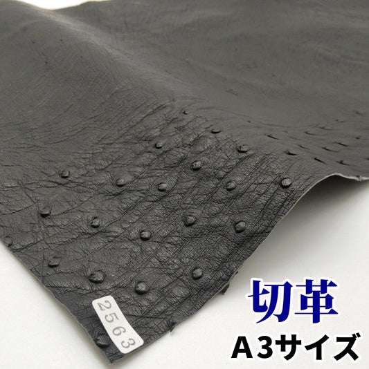 駝鳥 革素材