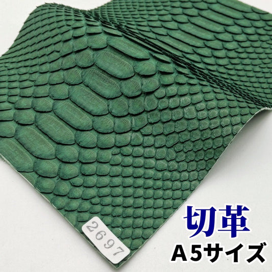 蛇 カラフル