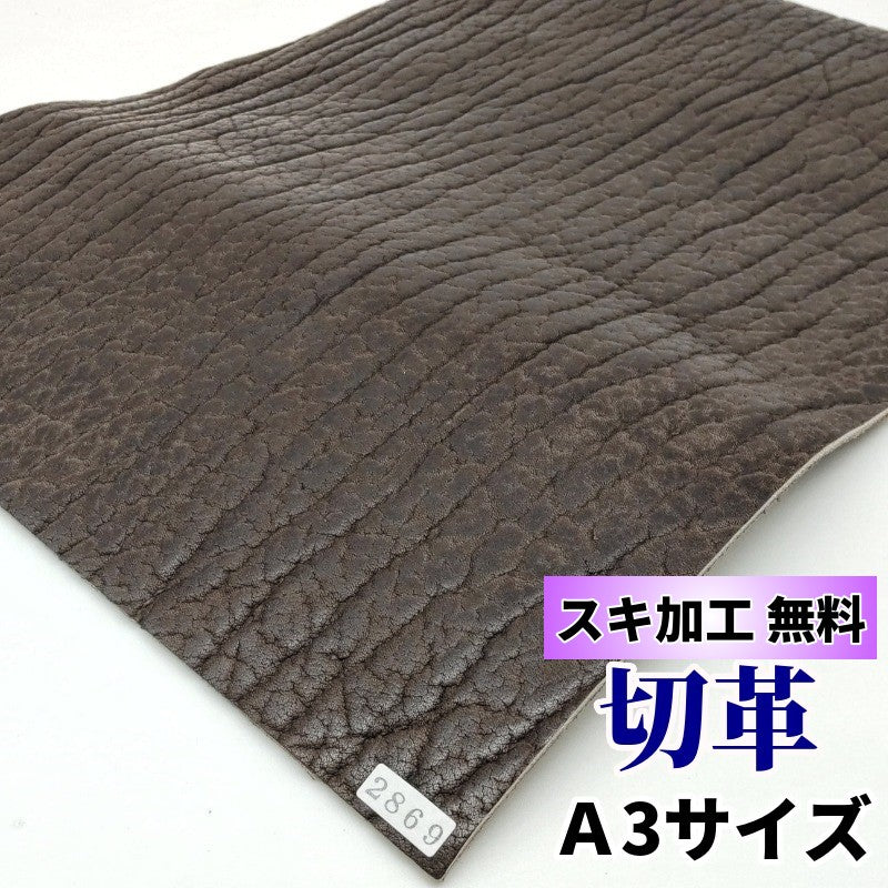 アザラシ革、オットセイ革（seal leather）皮革素材の販売 – レザーマニア東京通販