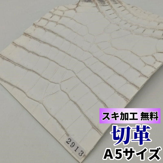 鰐 ひまらや