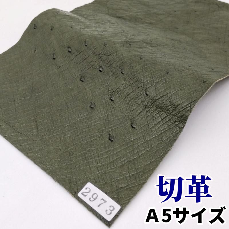 駝鳥 革素材