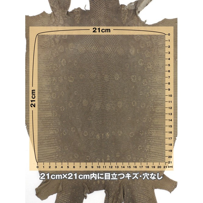 トカゲ革【最大幅26cm/サイズ保証21×21cm】ブラウン/マット/腹割/tkg771