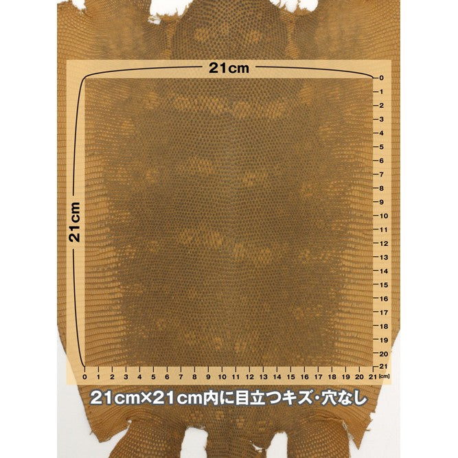 トカゲ革【最大幅27cm/サイズ保証21×21cm】キャメル/マット/腹割/tkg787