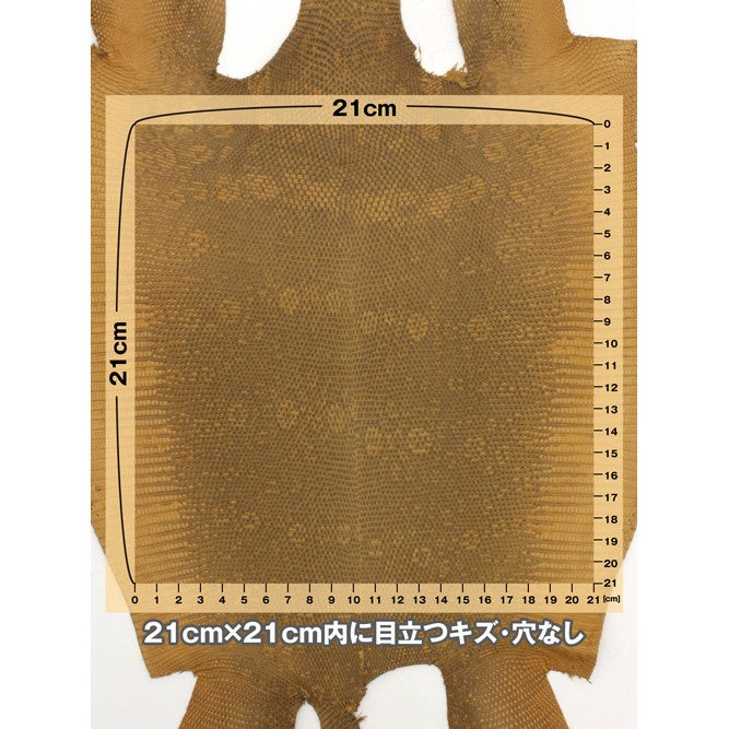 トカゲ革【最大幅27cm/サイズ保証21×21cm】キャメル/マット/腹割/tkg802