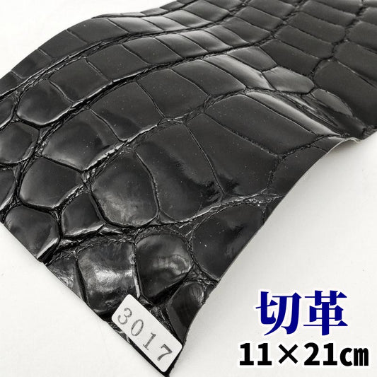 鰐 革素材