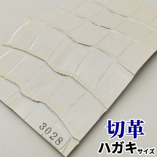 鰐 革素材