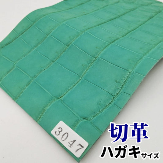 鰐 革素材