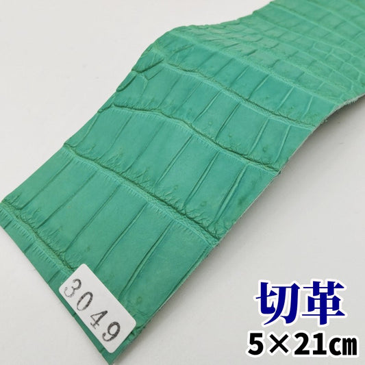 鰐 革素材