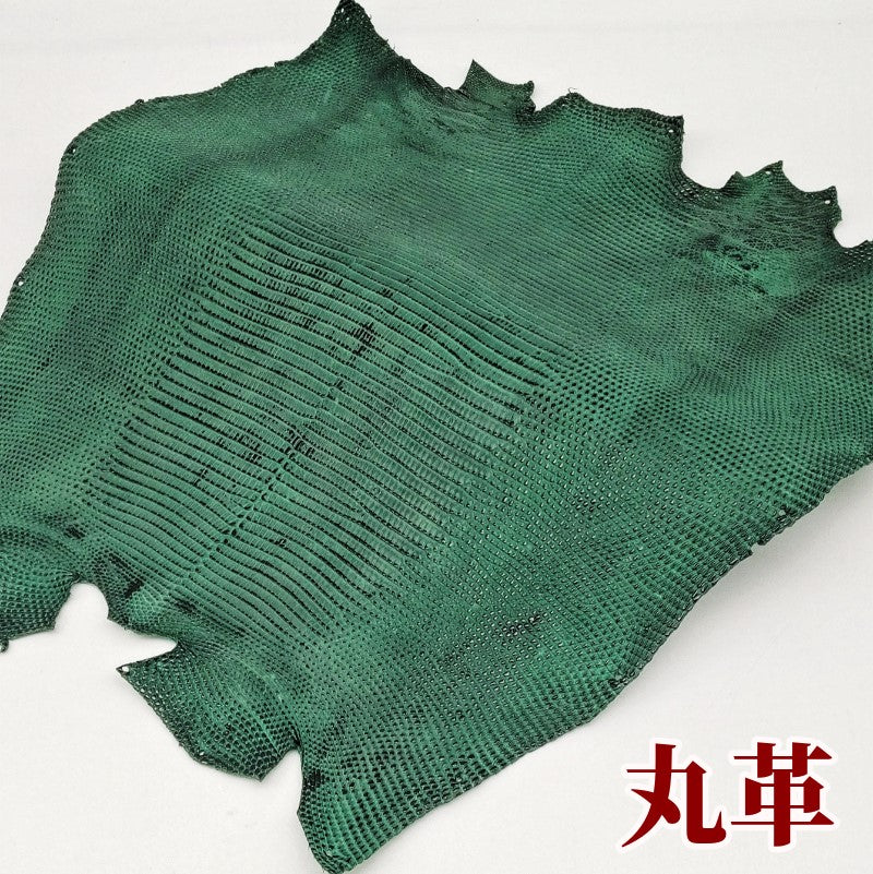 蜥蜴 革素材