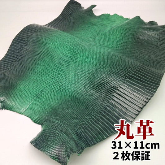 蜥蜴 革素材