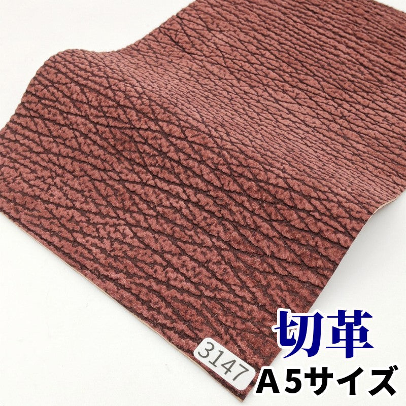 鮫 革素材