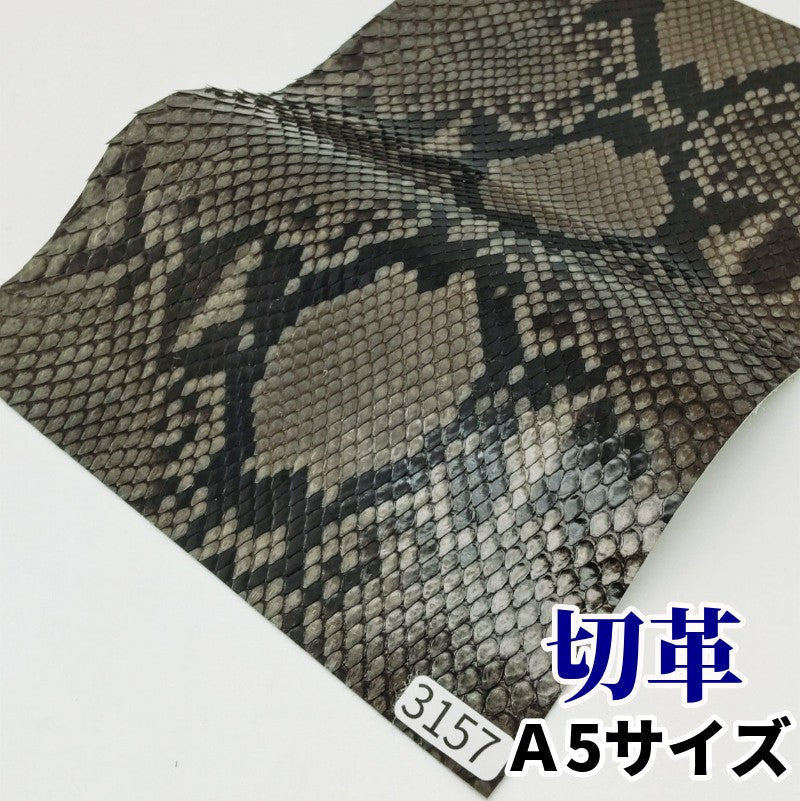 蛇 革素材