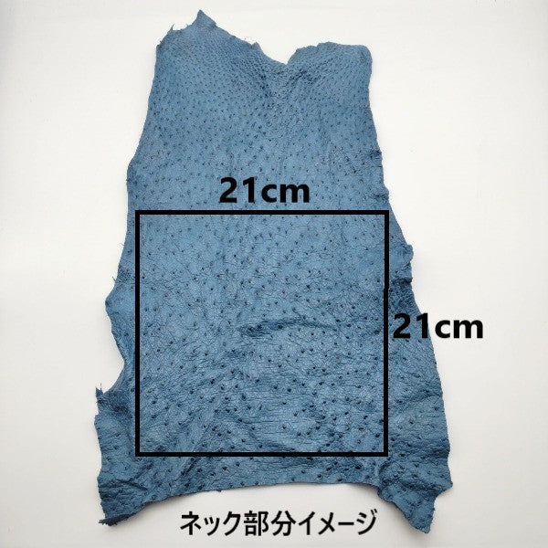 【福袋】オーストリッチ三昧21枚/送料無料/fb41d