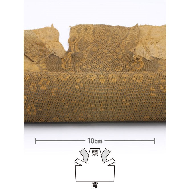 トカゲ革【最大幅28cm/サイズ保証21×21cm】キャメル/マット/腹割/tkg784