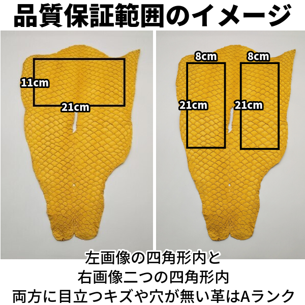 魚革/カープ丸革/イエロー/f32