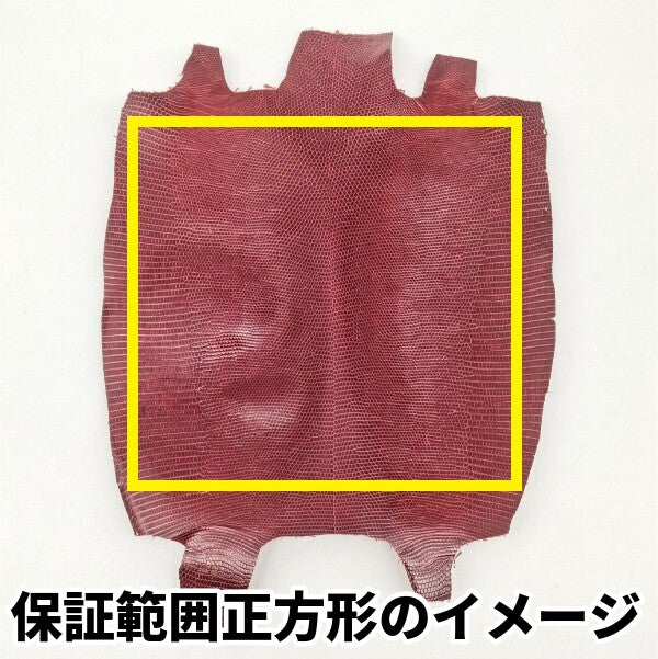 トカゲ革【最大幅24cm前後】ワイン/ツヤ強/腹割/t619