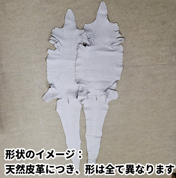 ナイルクロコ丸革【一匹】オフホワイト/染色可能/w43