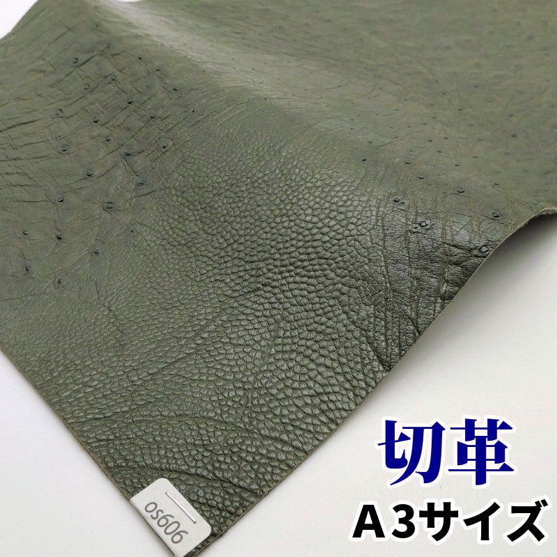 駝鳥 革素材