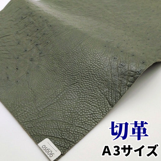 駝鳥 革素材