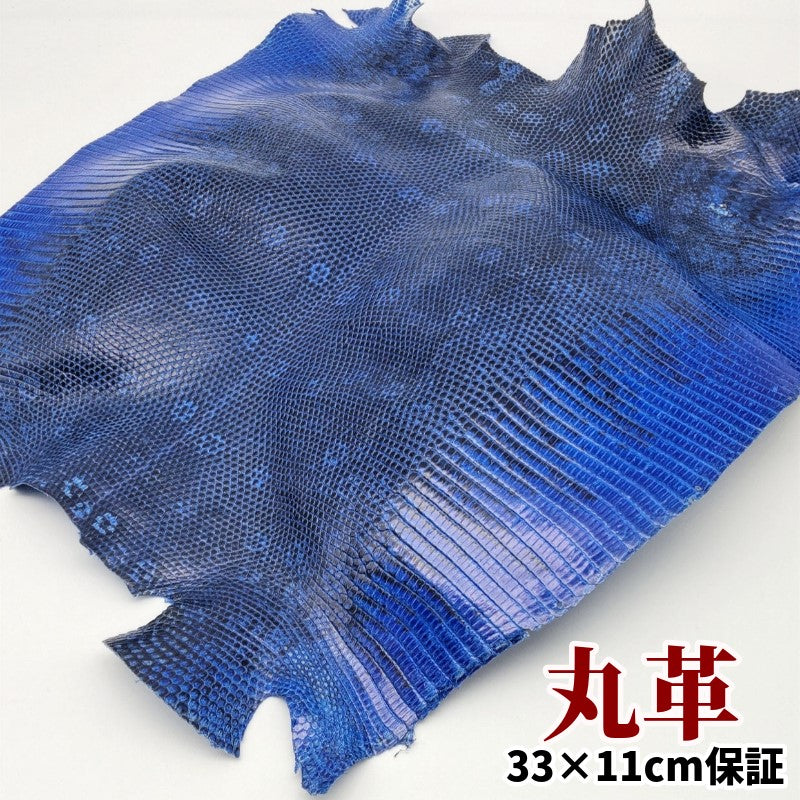 蜥蜴 革素材