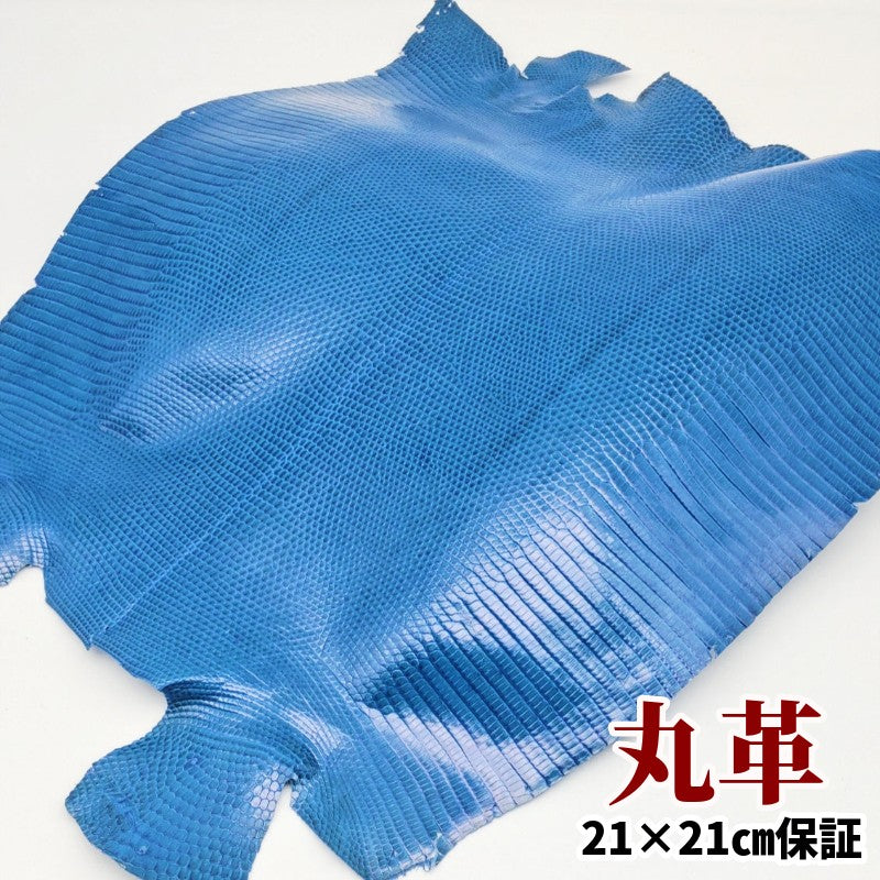 蜥蜴 革素材