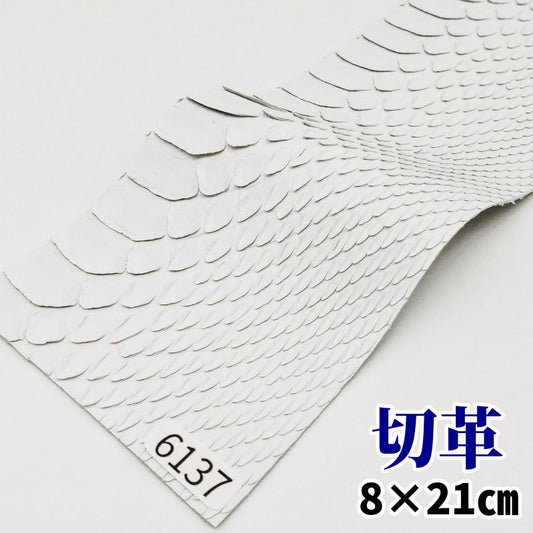 蛇 革素材