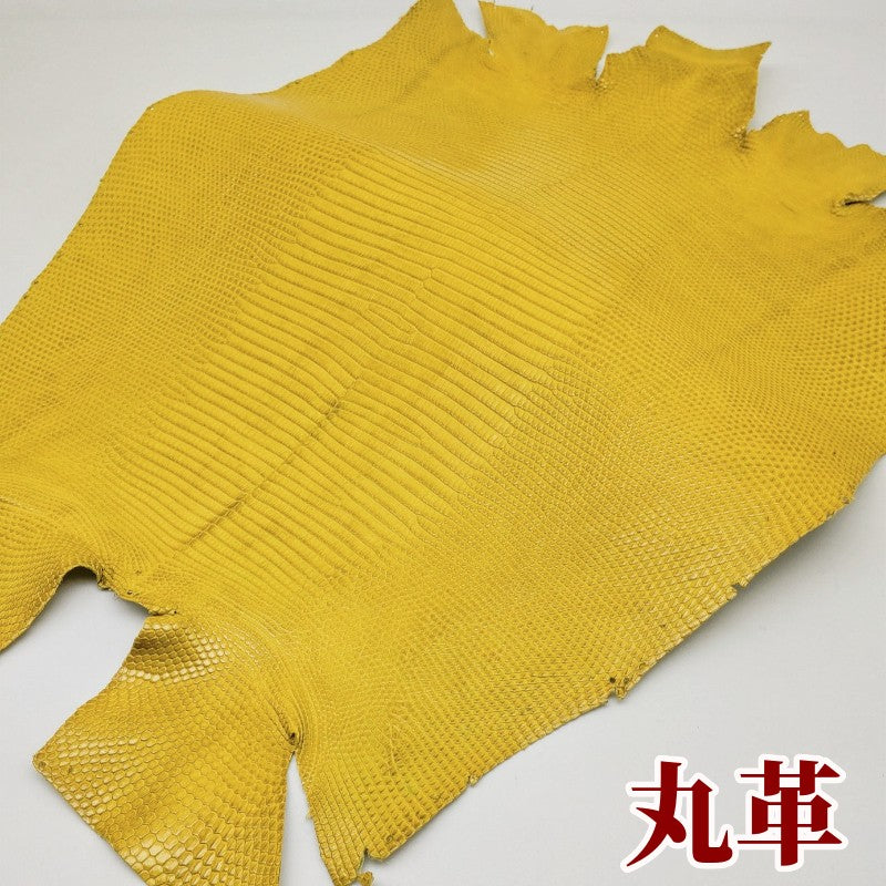 トカゲ革【最大幅35cm】イエロー/ツヤ強/背割/6213 – レザーマニア東京通販
