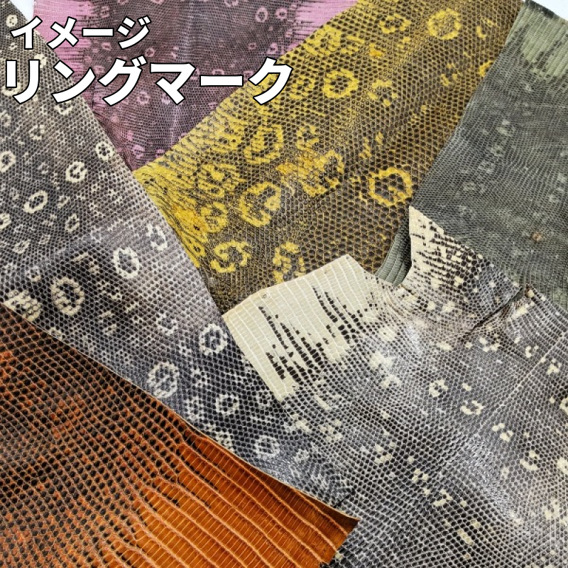 トカゲ革ハギレ【100g】全5種/99t