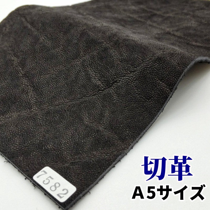 象 珍しい革