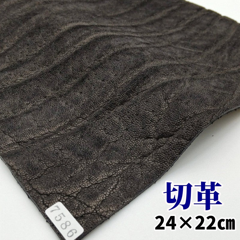 象革 珍しい