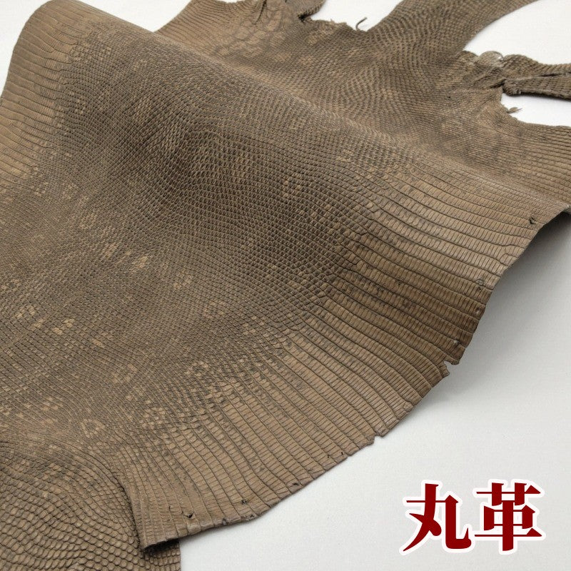 蜥蜴 革素材