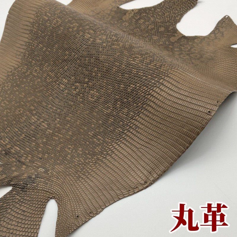 蜥蜴 革素材