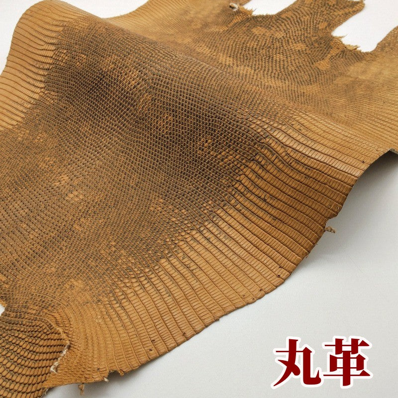 蜥蜴 革素材