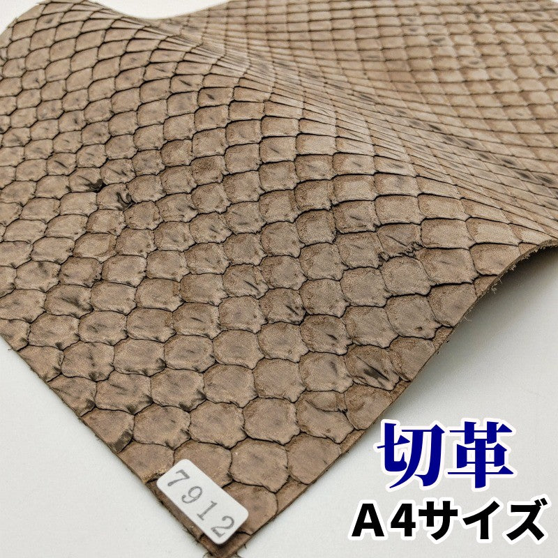 蛇 革素材