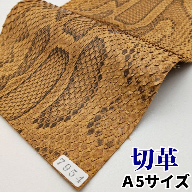 蛇 革素材